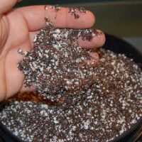 Vermiculite Vermiculite