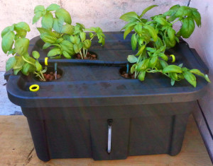 Deep Water Hydroponics system