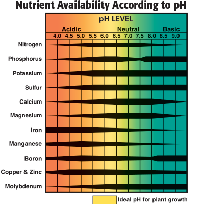 pH and element uptake