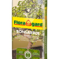 Floragard Bonsai