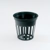 50ml Net Pot