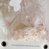 Because Nature Mycelium CO2 Generator