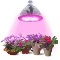 Plant Lighting