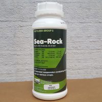 Sea-Rock Kelp Liquid