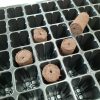 Jiffy Preforma Plugs - in 84 Cell Tray