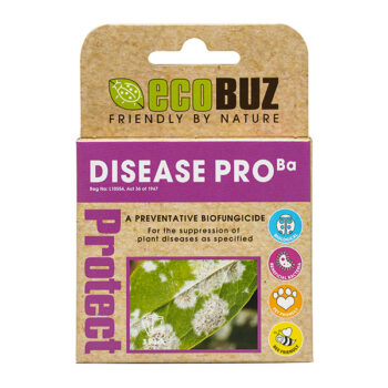 EcoBuz Disease Pro Pack of 3 x 4g Sachets