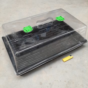 ROOTiT Large Propagator