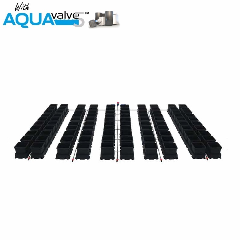 Easy2grow 100 System AQUAValve5 with 8.5L Pots without Tank