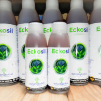 Eckosil Silicon Supplement