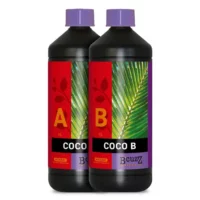 Atami BCuzz Coco A and B