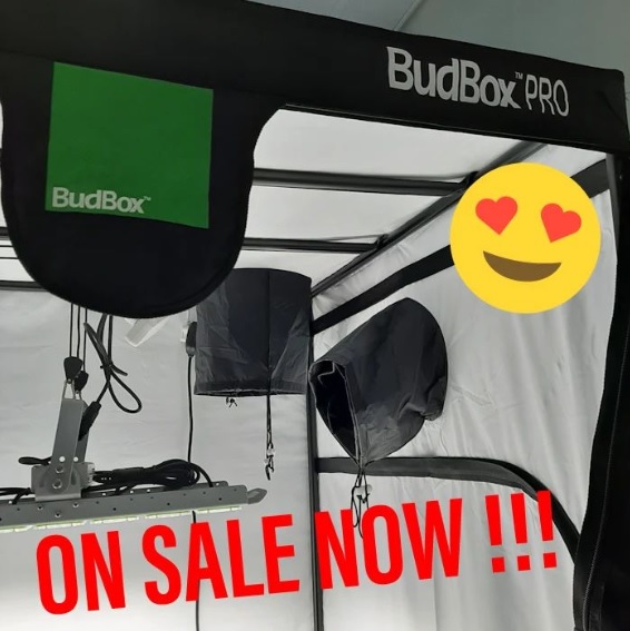 BudBox Sale 2022