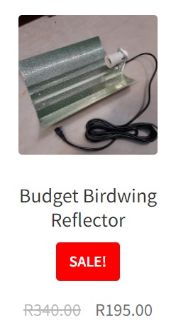 Budget Birdwing Sale 2022