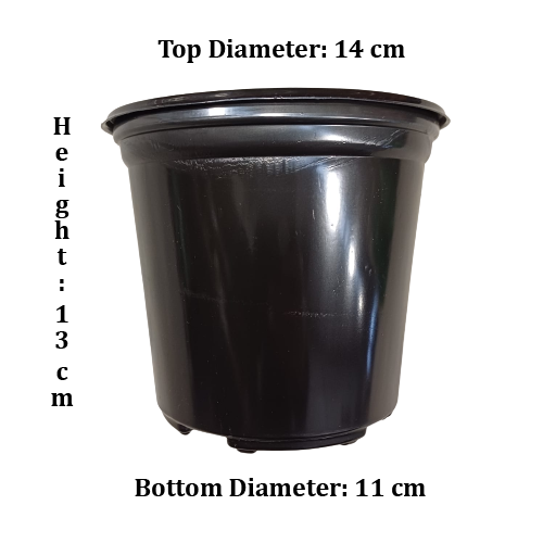 1point5L Thermoform Pot