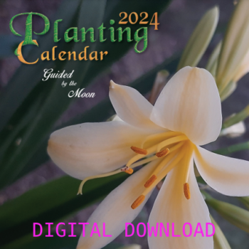 Digital Planting Calendar 2024