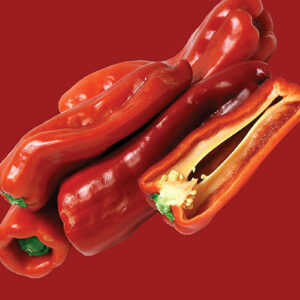 RAW Seeds Seed Packs – Pepper Sweet Pepperone Corno di Torro Rosso