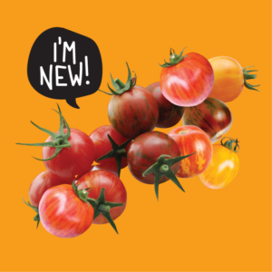 RAW Seeds Seed Packs – Tomato Artisan Bumble Bee Mix