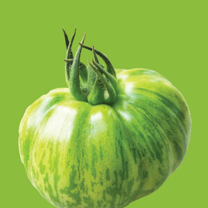 RAW Seeds Seed Packs – Tomato Green Zebra