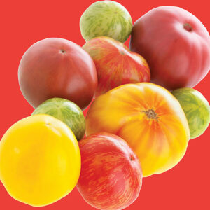 RAW Seeds Seed Packs – Tomato Heirloom Rainbow Mix