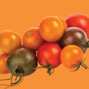 RAW Seeds Seed Packs – Tomato Rainbow Cherry Mix