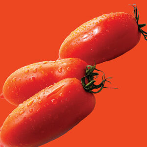 RAW Seeds Seed Packs – Tomato San Marzano