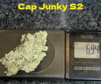 Cap Junky S2