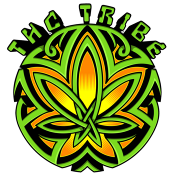 THC Tribe Seeds 3-packs