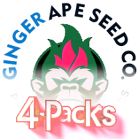 Ginger Ape 4-packs