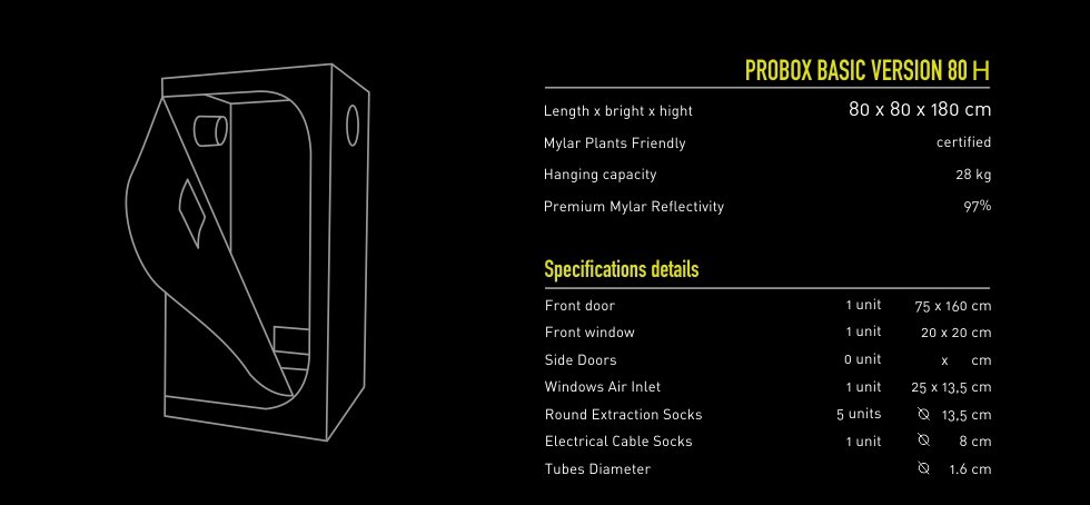 PROBOX BASIC 80H Spec Pic