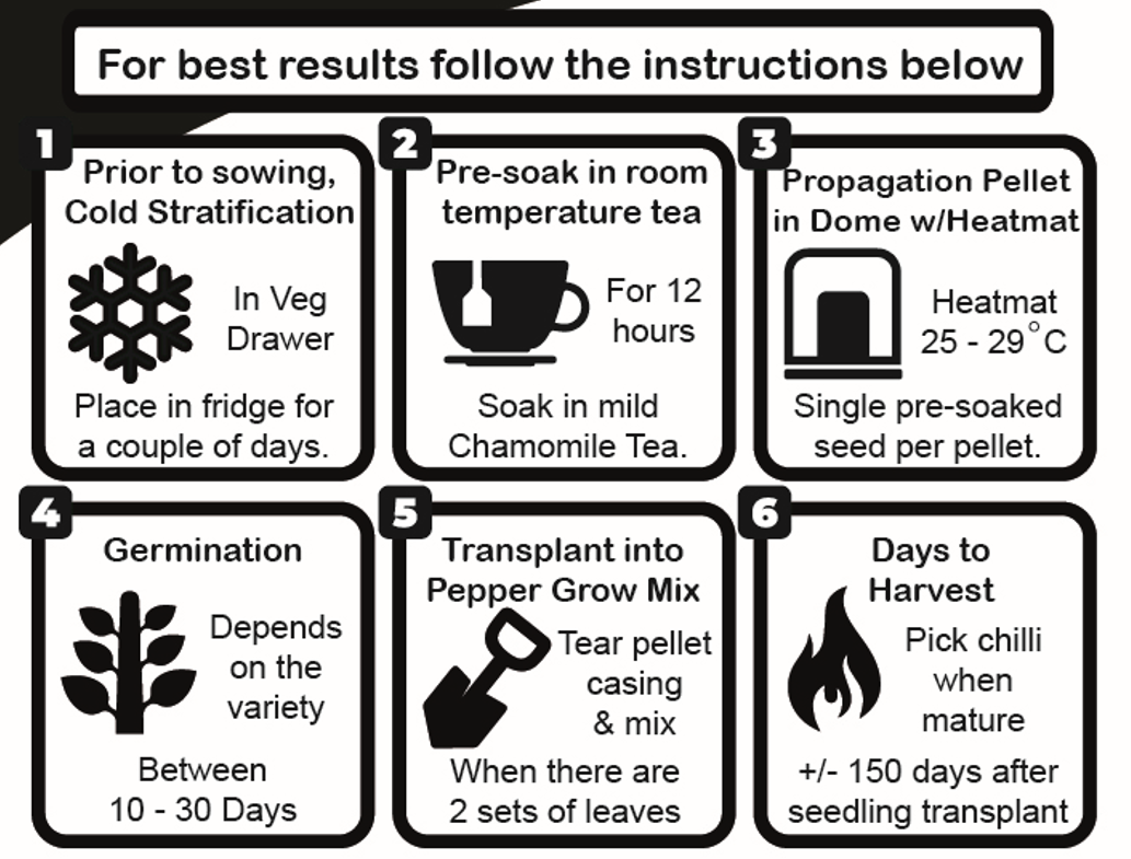 SC Chili Germ Info Pic