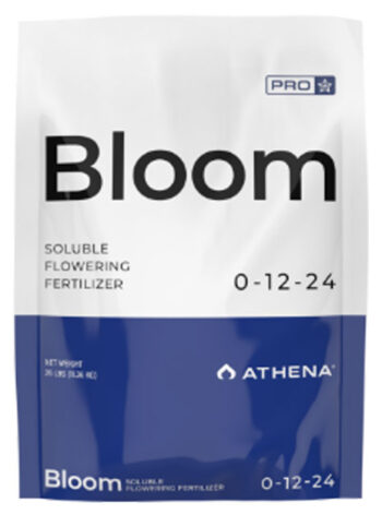 Athena Pro – Bloom