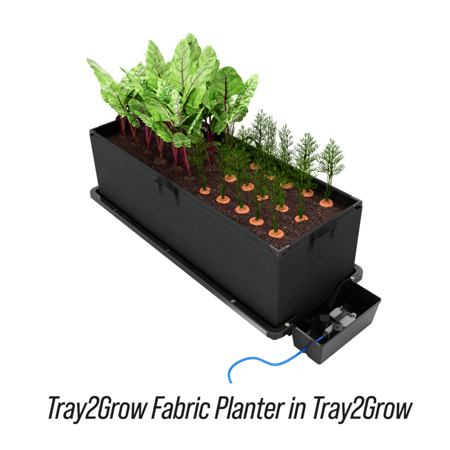 Autopot Tray2Grow Fabric Planter Box in Tray2Grow Tray