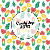 Smiley Seeds - Autoflower - Candy Joy