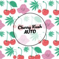 Smiley Seeds - Autoflower - Cherry Kush