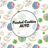 Smiley Seeds - Autoflower - Frosted Cookies
