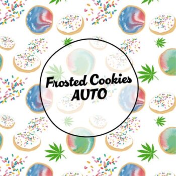 Smiley Seeds - Autoflower - Frosted Cookies