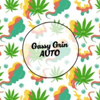 Smiley Seeds - Autoflower - Gassy Grin