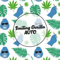Smiley Seeds - Autoflower - Smiling Gorilla