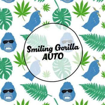 Smiley Seeds - Autoflower - Smiling Gorilla