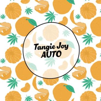 Smiley Seeds - Autoflower - Tangie Joy