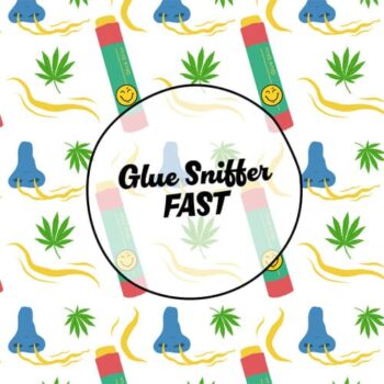 Smiley Seeds - Fast Flowering - Glue Sniffer