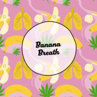 Smiley Seeds - Photoperiod - Banana Breath