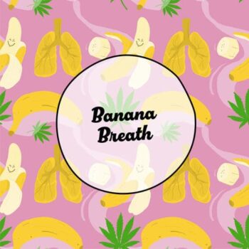Smiley Seeds - Photoperiod - Banana Breath