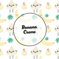 Smiley Seeds - Photoperiod - Banana Creme