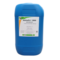 AminoFix - 3000 25L