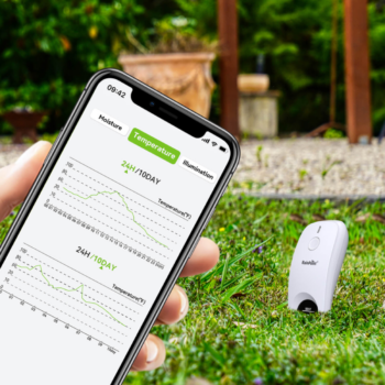 RainPoint Smart WiFi 3-in-1 Digital Soil Sensor Use Case 2