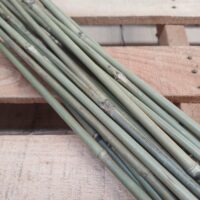 Bamboo Stake 150cm