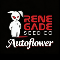 Renegade Seed Co – Autoflower