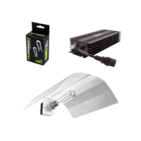 Electronic HID Kit 600W
