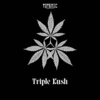Totemic Cannacraft Photoperiod 5 Plus 1 Triple Kush