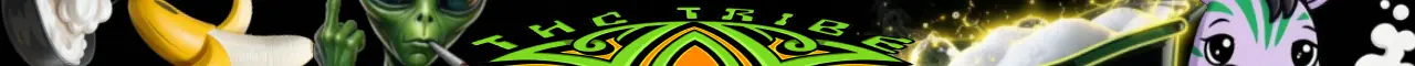 seed promo banner late 2026